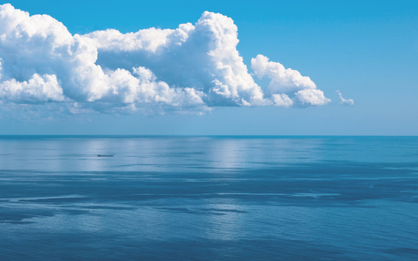 Cost-effective IMO 2020 compliance solutions